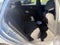 2020 Chevrolet Malibu LS 1LS