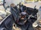 2019 Polaris RZR XP