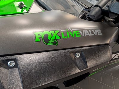2024 Kawasaki TERYX KRX4 1000 ES