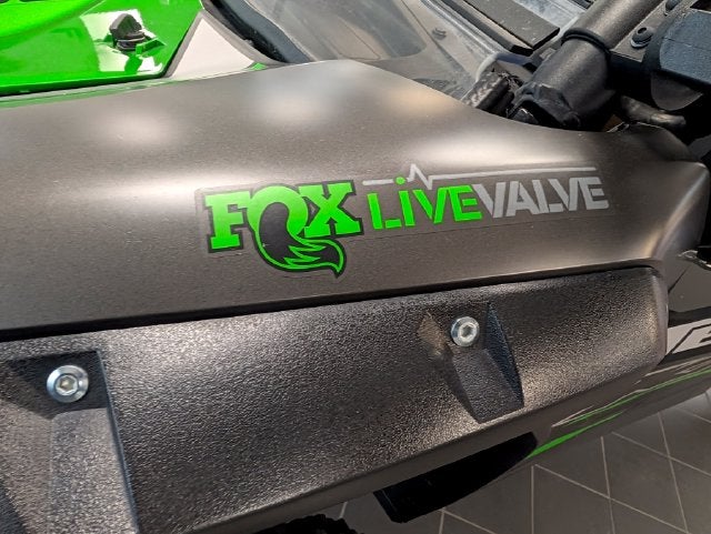 2024 Kawasaki TERYX KRX4 1000 ES
